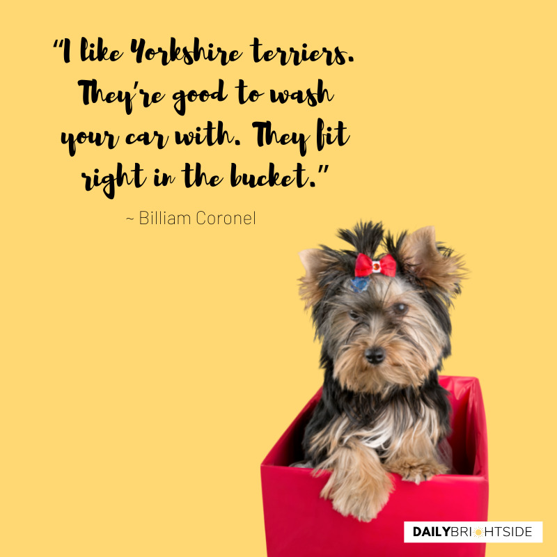 Yorkshire Quotes