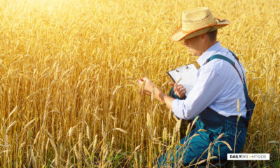 Farmer Quotes