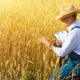 Farmer Quotes