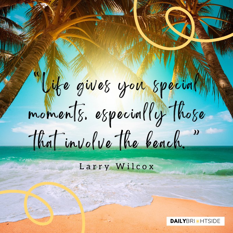 Larry Wilcox Beach Quotes
