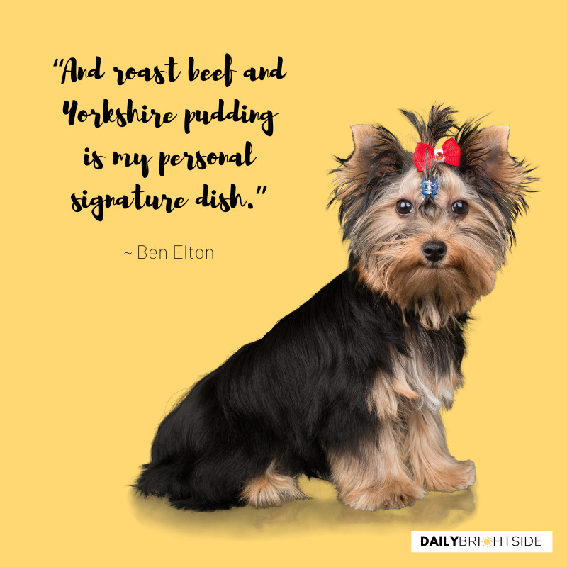 Yorkshire Quotes