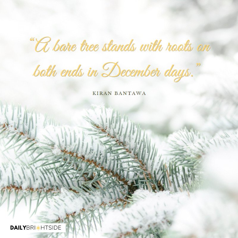 December Quotes 