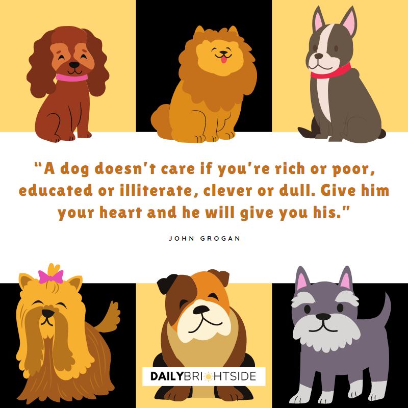 Dog Quotes 