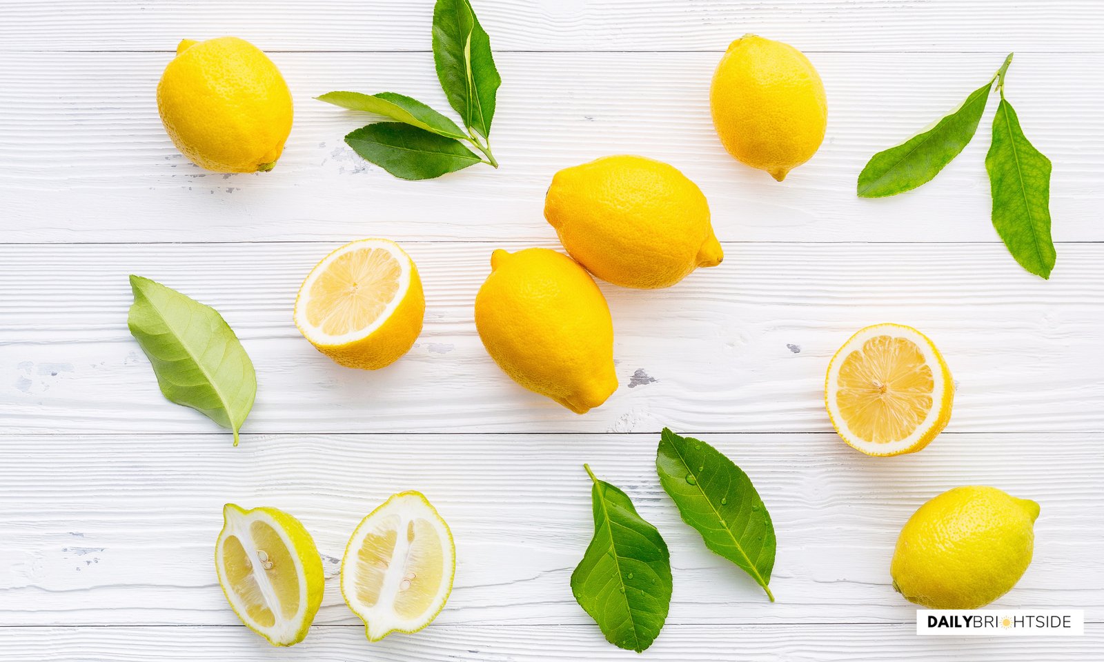 Lemon Quotes