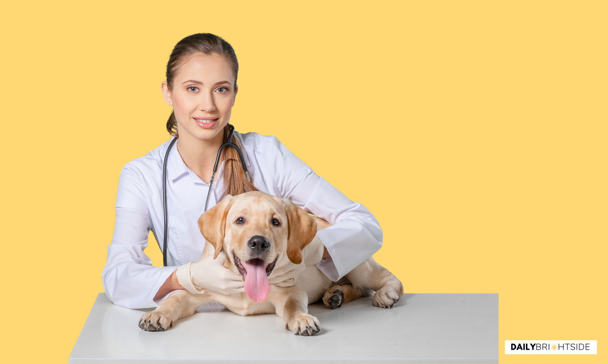 Maintain Your Pet's Health