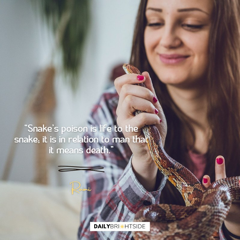 Rumi Snake Quotes