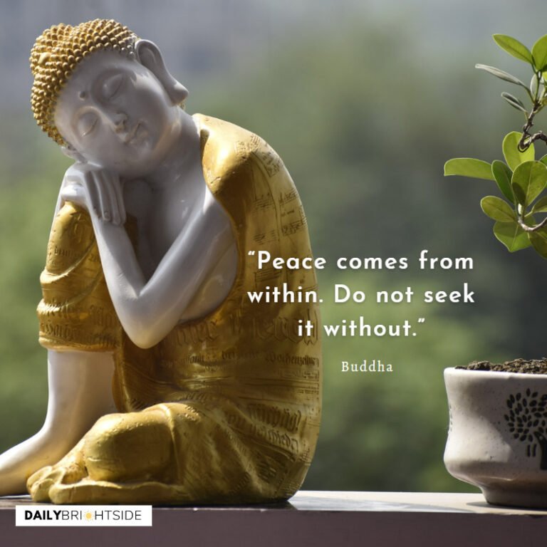 Enlightening Buddha Quotes | Daily Brightside