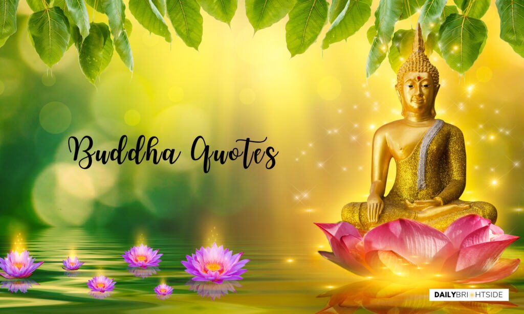 Enlightening Buddha Quotes | Daily Brightside