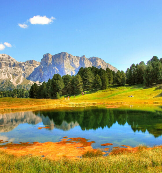 Nature Quotes