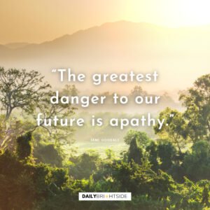 The Most "Crikey" Steve Irwin Quotes Ever | Daily Brightside