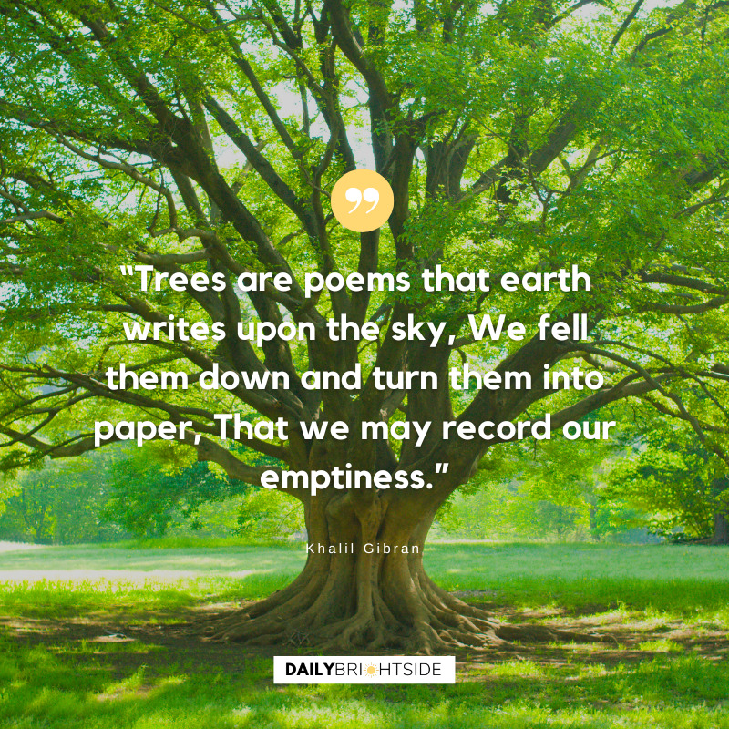 Trees Quotes 